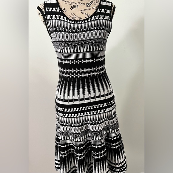 Gianni Bini Sleeveless A-line Knit Dress - Picture 1 of 3